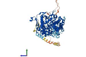 AlphaFold protein structure predicition of Mouse Recombinant Ampd3 Protein, UniprotID O08739