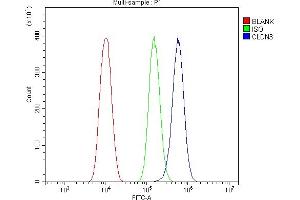Flow Cytometry analysis of PC-3 cells using anti-Claudin 3/CLDN3 antibody (ABIN7602816). (Claudin 3 anticorps  (C-Term))