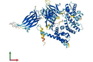 AlphaFold protein structure predicition of Human Recombinant RASA3 Protein, UniprotID Q14644