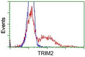 HEK293T cells transfected with either RC203947 overexpress plasmid (Red) or empty vector control plasmid (Blue) were immunostained by anti-TRIM2 antibody (ABIN2453856), and then analyzed by flow cytometry. (TRIM2 anticorps  (AA 1-100, AA 645-744))