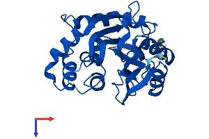 AlphaFold protein structure predicition of Human Recombinant INMT Protein, UniprotID O95050
