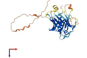 AlphaFold protein structure predicition of Human Recombinant PLSCR2 Protein, UniprotID Q9NRY7