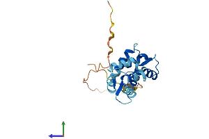 AlphaFold protein structure predicition of Human Recombinant CALML4 Protein, UniprotID Q96GE6