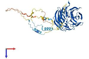 AlphaFold protein structure predicition of Mouse Recombinant Cdc20 Protein, UniprotID Q9JJ66