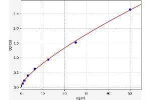 Peroxiredoxin 5 (PRDX5) ELISA Kit