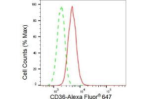 Flow cytometric analysis of CD36 expression in H9c2 cells using CD36 antibody (ABIN7797966), 1:2,000).