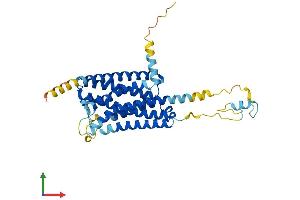 AlphaFold protein structure predicition of Human Recombinant GPR85 Protein, UniprotID P60893