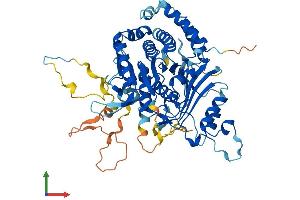 AlphaFold protein structure predicition of Human Recombinant MSTO1 Protein, UniprotID Q9BUK6