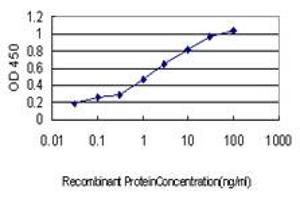 Detection limit for recombinant GST tagged PDE2A is approximately 0. (PDE2A anticorps  (AA 850-940))