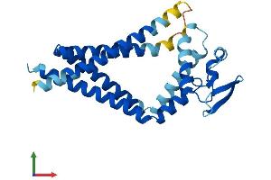 AlphaFold protein structure predicition of Human Recombinant TSPAN8 Protein, UniprotID P19075
