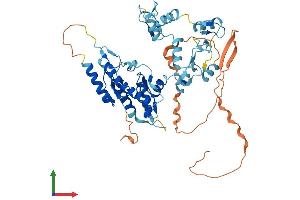 AlphaFold protein structure predicition of Human Recombinant HINFP Protein, UniprotID Q9BQA5