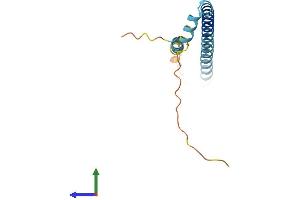 AlphaFold protein structure predicition of Human Recombinant TSC22D3 Protein, UniprotID Q99576