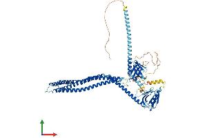 AlphaFold protein structure predicition of Human Recombinant APPL1 Protein, UniprotID Q9UKG1