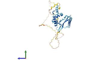 AlphaFold protein structure predicition of Human Recombinant VPS72 Protein, UniprotID Q15906