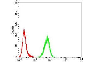 Flow cytometric analysis of K562 cells using ASF1B mouse mAb (green) and negative control (red).