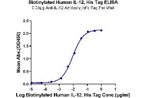 Immobilized Anti-IL-12 Antibody, hFc Tag at 0.