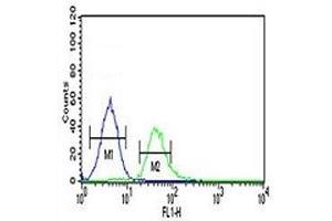 TCF4 antibody flow cytometric analysis of K562 cells (green) compared to a negative control (blue).