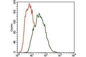 Image no. 4 for anti-MAP/microtubule Affinity-Regulating Kinase 3 (MARK3) antibody (ABIN1491518) (MARK3 anticorps)