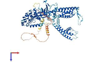 AlphaFold protein structure predicition of Human Recombinant TRPV5 Protein, UniprotID Q9NQA5