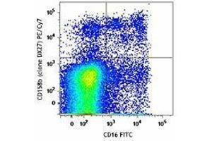 Flow Cytometry (FACS) image for anti-Killer Cell Immunoglobulin-Like Receptor, Two Domains, Long Cytoplasmic Tail, 3 (KIR2DL3) antibody (PE-Cy7) (ABIN2659116)