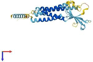 AlphaFold protein structure predicition of Mouse Recombinant Cacng6 Protein, UniprotID Q8VHW3
