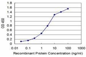 Detection limit for recombinant GST tagged HEY1 is approximately 0. (HEY1 anticorps  (AA 121-220))