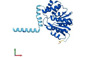 AlphaFold protein structure predicition of Mouse Recombinant Comt Protein, UniprotID O88587