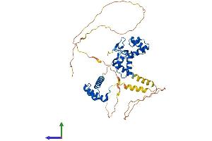 AlphaFold protein structure predicition of Human Recombinant PAX6 Protein, UniprotID P26367