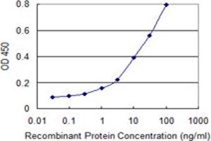 anti-Unc-51 Like Kinase 2 (ULK2) (AA 743-843) antibody