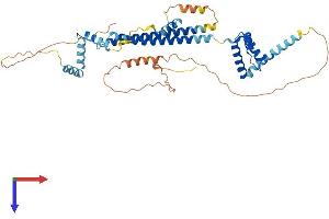 AlphaFold protein structure predicition of Human Recombinant PBX3 Protein, UniprotID P40426