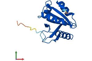 AlphaFold protein structure predicition of Human Recombinant TXNL4B Protein, UniprotID Q9NX01