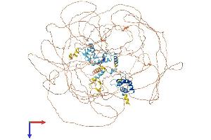 AlphaFold protein structure predicition of Mouse Recombinant Asxl1 Protein, UniprotID P59598