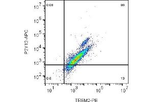 Cell surface multicolor flow cytometry analysis of live intact mouse  microglia cells with P2Y12 and TREM2: cells were labeled with Anti-P2Y12 Receptor (extracellular)-APC Antibody (ABIN7582062), (5 μg) and with Anti-TREM2 (extracellular)-PE Antibody (ABIN7043867, ABIN7045598, ABIN7045599 and ABIN7045600), (5 μg).