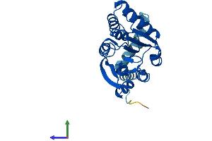 AlphaFold protein structure predicition of Mouse Recombinant Comt Protein, UniprotID O88587