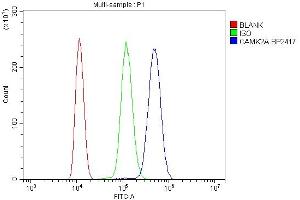 Flow Cytometry analysis of ANA-1 cells using anti-CaMKII alpha/CAMK2A antibody (ABIN7599429).