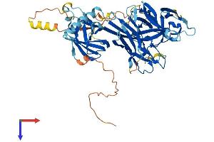 AlphaFold protein structure predicition of Human Recombinant RBPJL Protein, UniprotID Q9UBG7