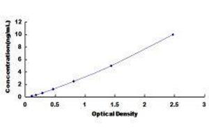Histamine Receptor H1 (HRH1) ELISA Kit