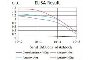 Red: Control Antigen (100ng) ; Purple: Antigen (10ng) ; Green: Antigen (50ng) ; Blue: Antigen (100ng). (CEBPA anticorps)