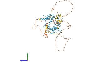 AlphaFold protein structure predicition of Human Recombinant ZNF8 Protein, UniprotID P17098