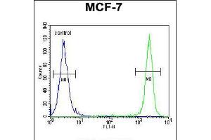 Flow cytometric analysis of MCF-7 cells (right histogram) compared to a negative control cell (left histogram). (SEL1L anticorps  (AA 156-182))