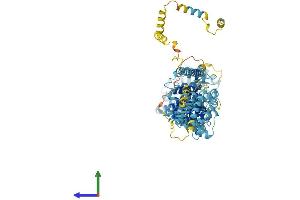 AlphaFold protein structure predicition of Human Recombinant NUP93 Protein, UniprotID Q8N1F7