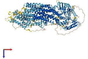 AlphaFold protein structure predicition of Mouse Recombinant Abcc10 Protein, UniprotID Q8R4P9