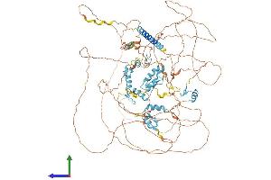 AlphaFold protein structure predicition of Human Recombinant SALL2 Protein, UniprotID Q9Y467