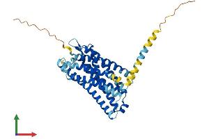 AlphaFold protein structure predicition of Human Recombinant FPR1 Protein, UniprotID P21462