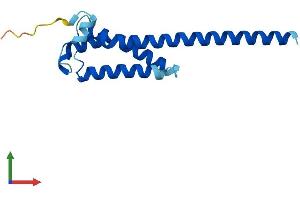 AlphaFold protein structure predicition of Mouse Recombinant Tmem18 Protein, UniprotID Q3TUD9