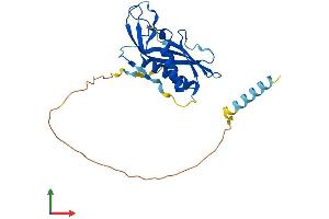 AlphaFold protein structure predicition of Human Recombinant RTP4 Protein, UniprotID Q96DX8