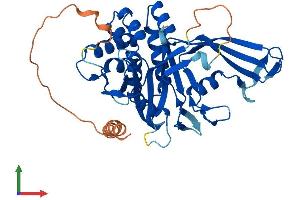 AlphaFold protein structure predicition of Human Recombinant USP18 Protein, UniprotID Q9UMW8