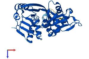 AlphaFold protein structure predicition of Mouse Recombinant Glyat Protein, UniprotID Q91XE0