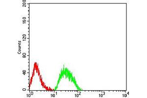 Flow cytometric analysis of SK-N-SH cells using CHRNE mouse mAb (green) and negative control (red).