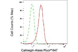 Flow cytometric analysis of Calmegin expression in HeLa cells using Calmegin antibody (ABIN7797841), 1:2,000). (Recombinant Calmegin anticorps)